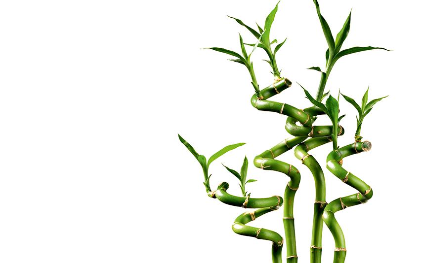 Tiết kiệm năng lượng Class A++: Tiêu thụ năng lượng thấp hơn 25% so với các thiết bị Class A+ Tiết kiệm năng lượng Class A++: Tiêu thụ năng lượng thấp hơn 25% so với các thiết bị Class A+