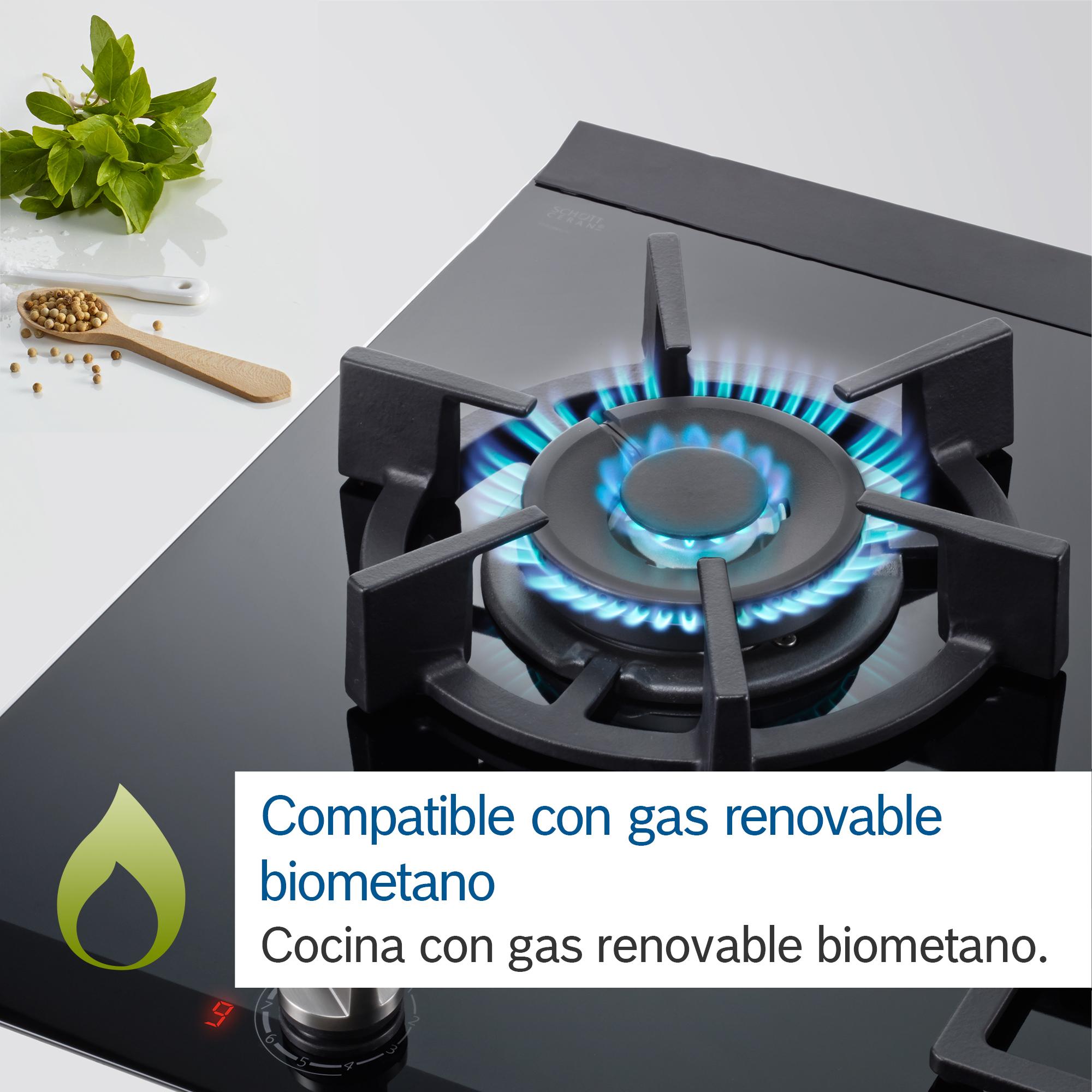 Bếp gas Bosch PPC6A6B20