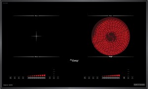 bep-dien-tu-canzy-cz-88npsh