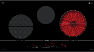 bep-dien-tu-cao-cap-canzy-cz-67r