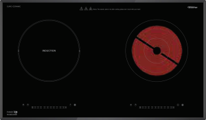 bep-dien-tu-fandi-fd-228ih