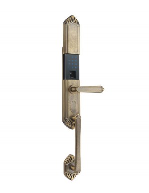 khoa-van-tay-ket-hop-mat-ma-newera-ne8888fp59bg