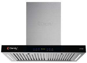 may-hut-mui-dandy-dy-t307