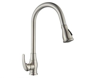 voi-rua-dandy-dy-r2004