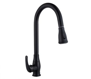 voi-rua-dandy-dy-r2004b